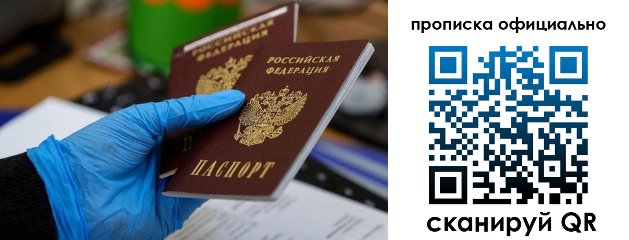 прописка штамп в Гвардейске
